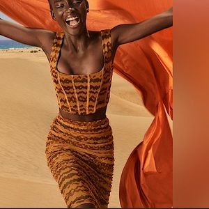 Zara Printed Tulle Knee Midi Skirt